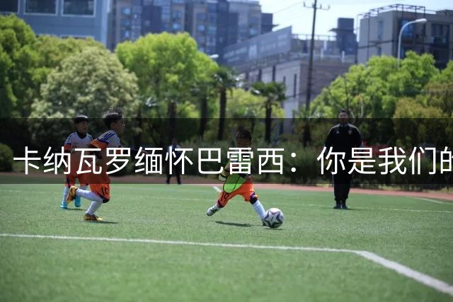 卡纳瓦罗缅怀巴雷西：你是我们的榜样，我们这代后卫都模仿你