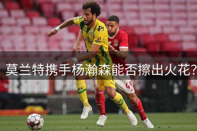 莫兰特携手杨瀚森能否擦出火花？前景尚需时间检验